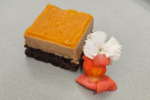 Apricot Slice
